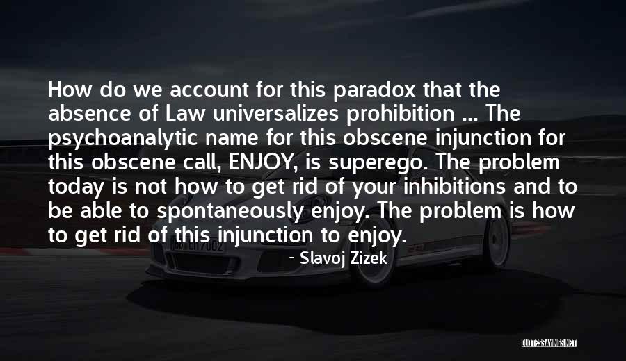 Bleiche Quotes By Slavoj Zizek