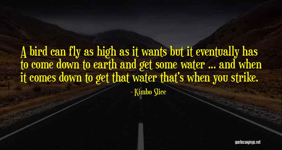 Blemished Tires Quotes By Kimbo Slice Blemished Tires Quotes By Kimbo Slice