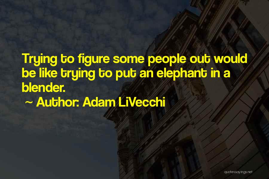 Blender Quotes By Adam LiVecchi