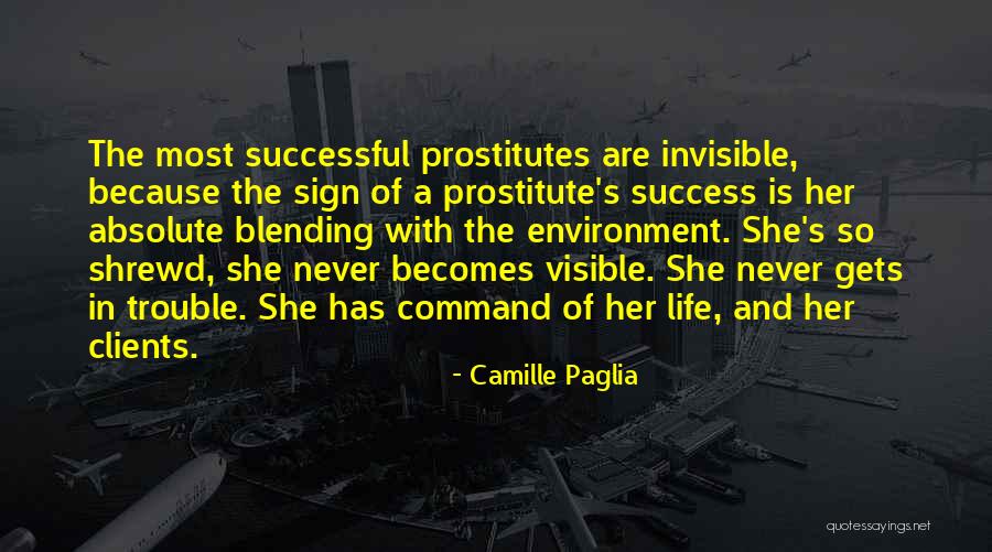 Blending Quotes By Camille Paglia