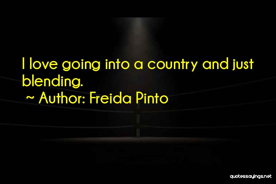 Blending Quotes By Freida Pinto