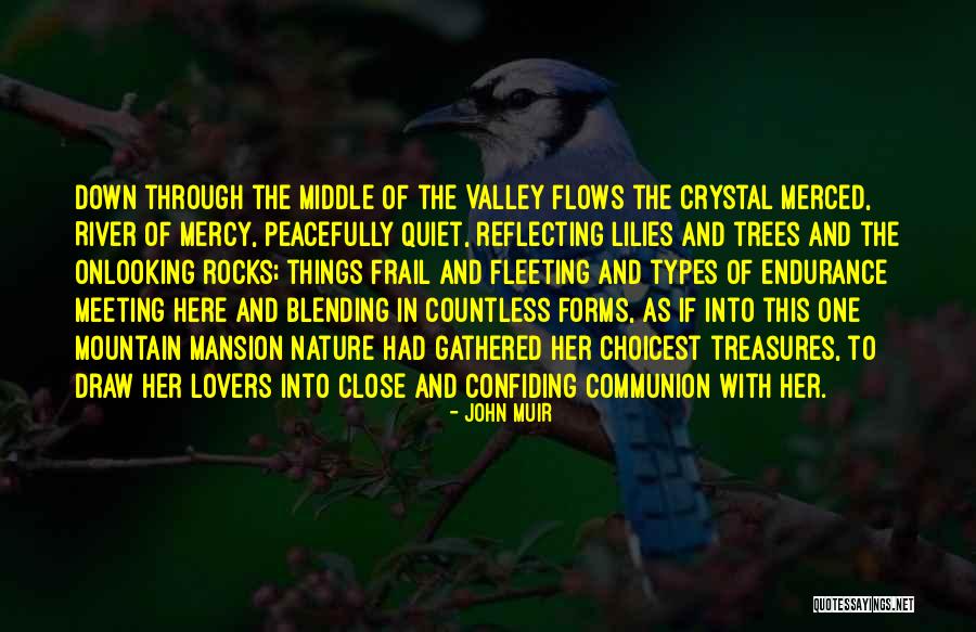 Blending Quotes By John Muir Blending Quotes By John Muir
