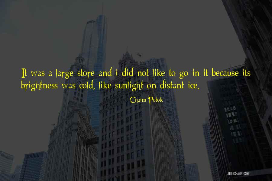 Blesilda Sigua Quotes By Chaim Potok Blesilda Sigua Quotes By Chaim Potok