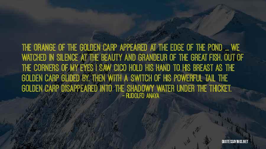 Bless Me Ultima Golden Carp Quotes By Rudolfo Anaya Bless Me Ultima Golden Carp Quotes By Rudolfo Anaya
