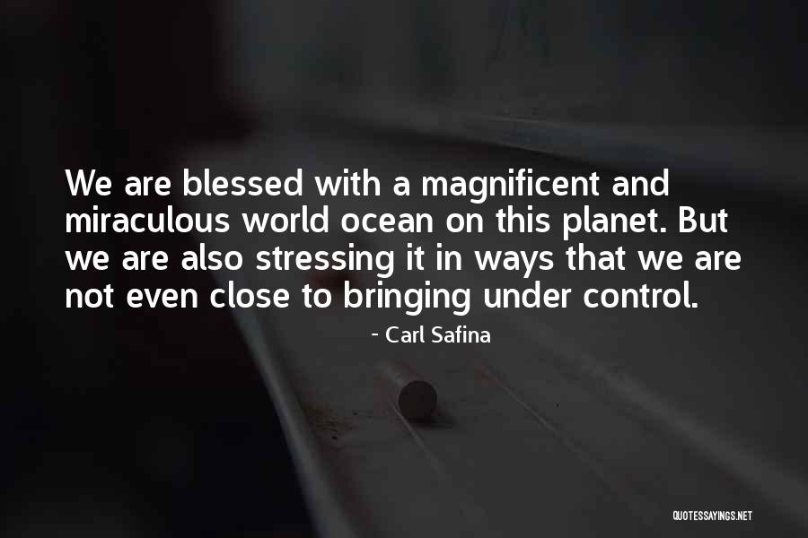 Blessed Are We Quotes By Carl Safina Blessed Are We Quotes By Carl Safina
