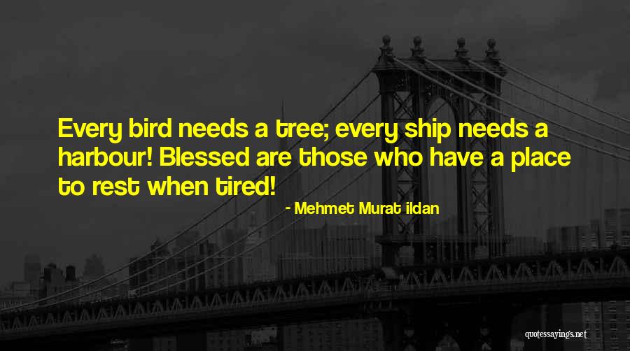 Blessed In Every Way Quotes By Mehmet Murat Ildan Blessed In Every Way Quotes By Mehmet Murat Ildan