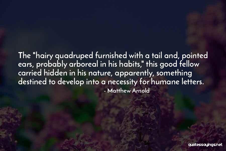 Blessed John Of Fiesole Quotes By Matthew Arnold Blessed John Of Fiesole Quotes By Matthew Arnold