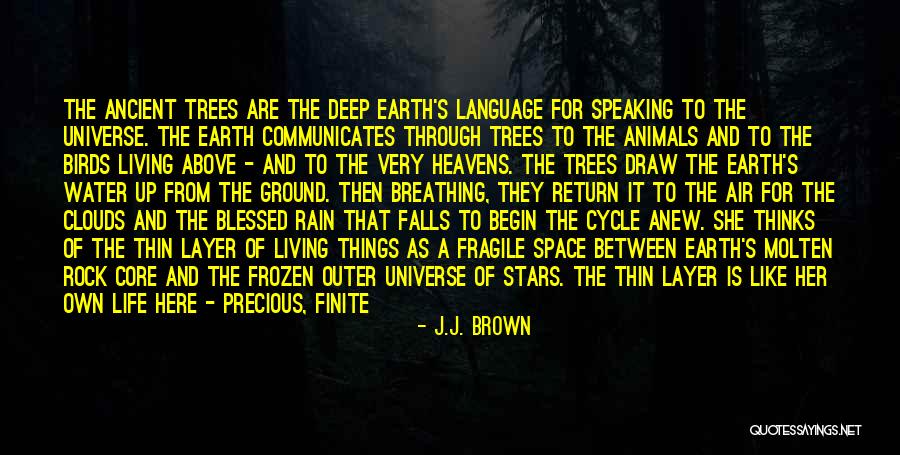 Blessed Quotes By J.J. Brown