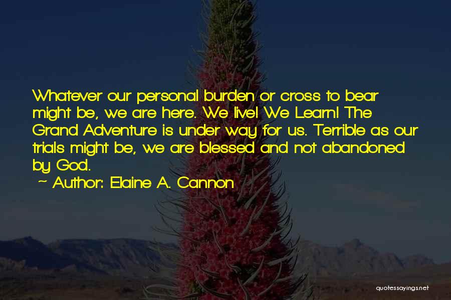 Blessed To Be Here Quotes By Elaine A. Cannon