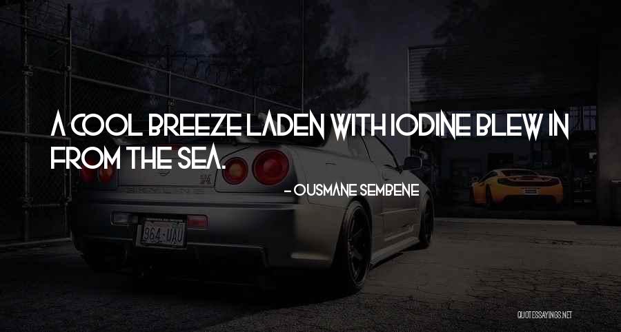 Blessedly Bewitching Quotes By Ousmane Sembene Blessedly Bewitching Quotes By Ousmane Sembene