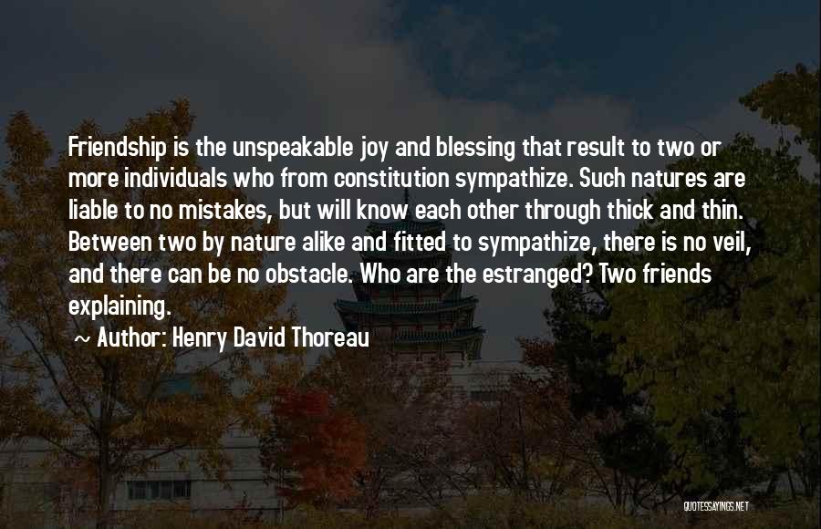 Blessing Friendship Quotes By Henry David Thoreau