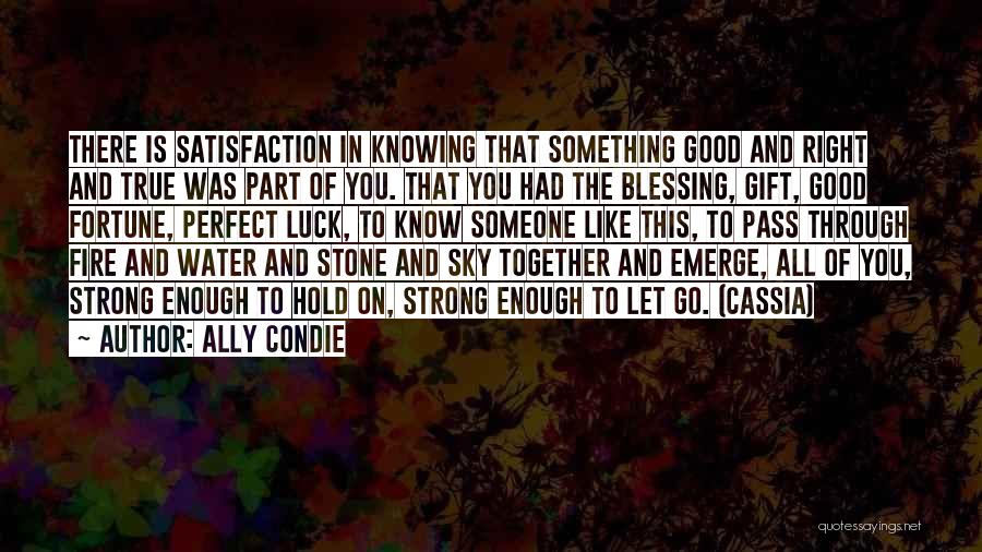 Blessing To Know You Quotes By Ally Condie