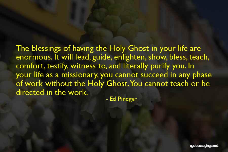 Blessings In Your Life Quotes By Ed Pinegar