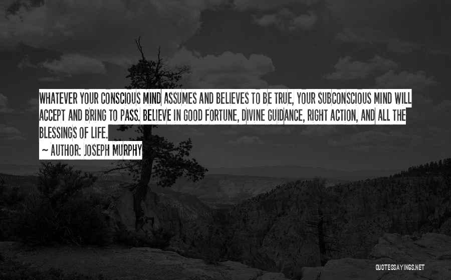Blessings In Your Life Quotes By Joseph Murphy