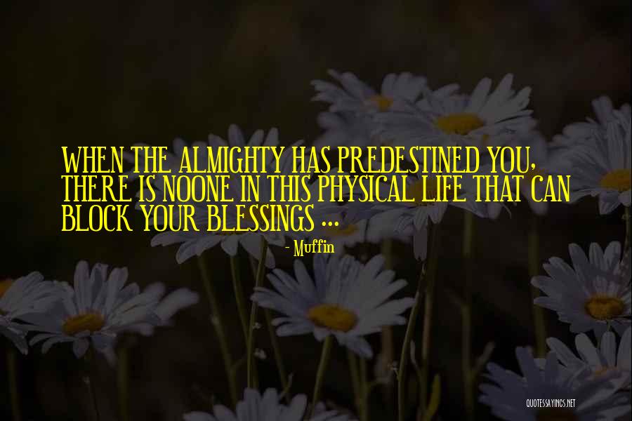 Blessings In Your Life Quotes By Muffin