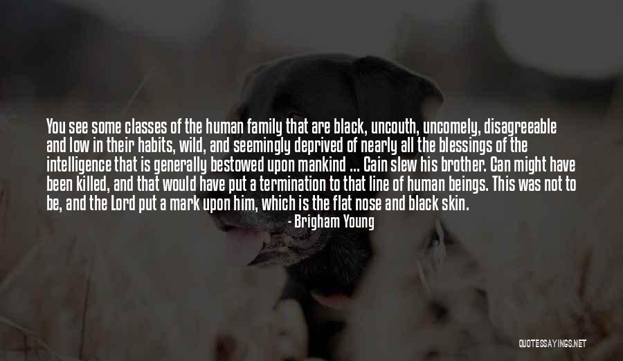 Blessings Of Family Quotes By Brigham Young