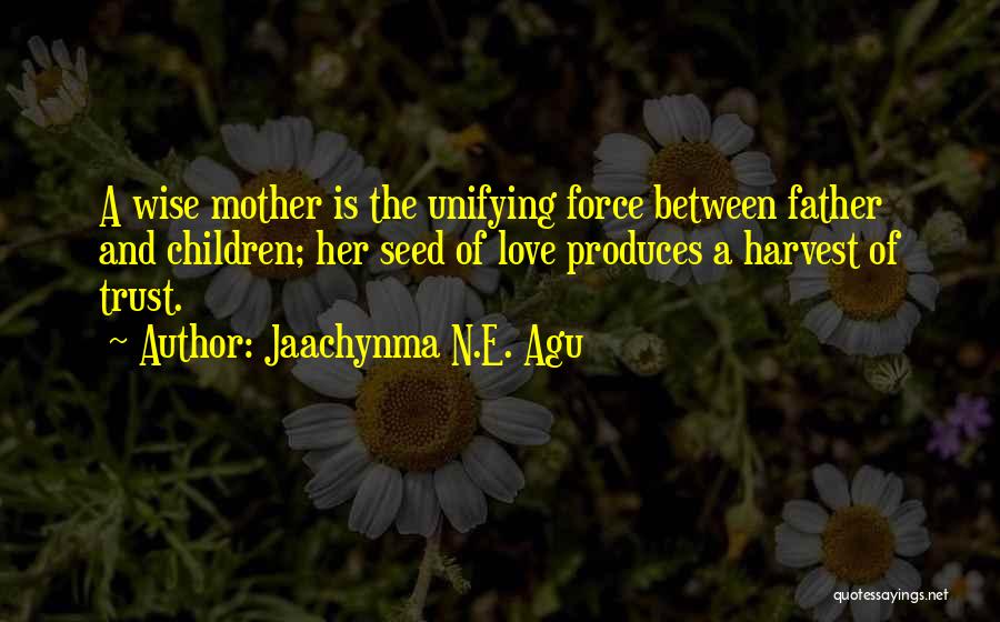 Blessings Of Family Quotes By Jaachynma N.E. Agu