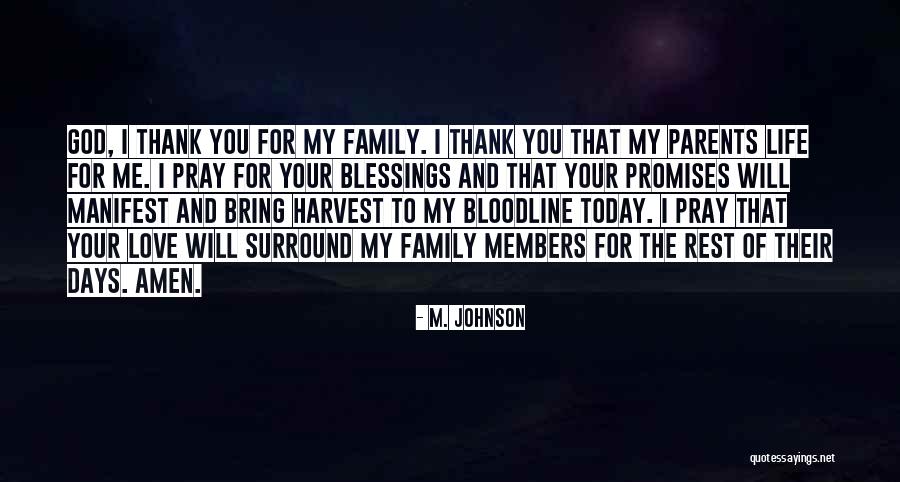 Blessings Of Family Quotes By M. Johnson