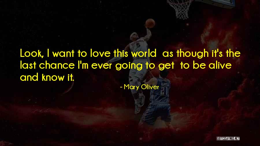Bleus Burger Quotes By Mary Oliver Bleus Burger Quotes By Mary Oliver