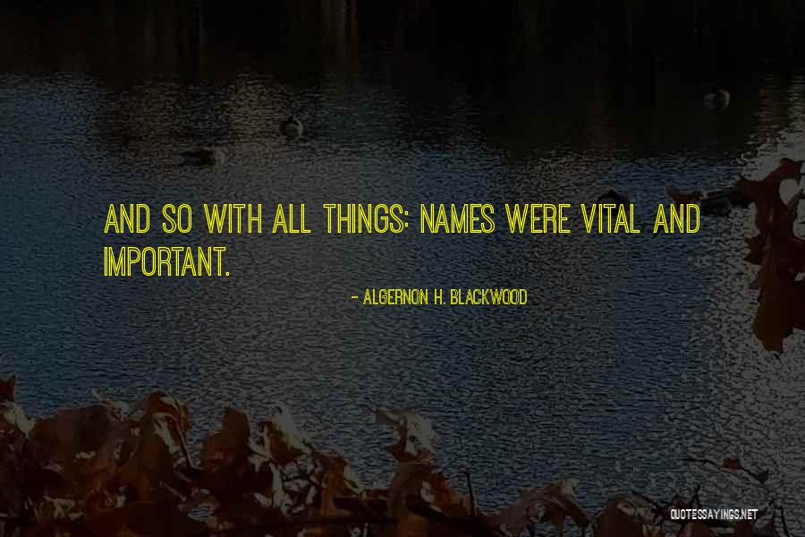 Blicker Cube Quotes By Algernon H. Blackwood Blicker Cube Quotes By Algernon H. Blackwood