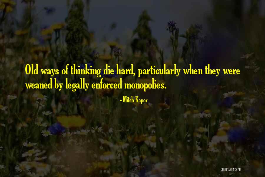 Blikken Koekendoos Quotes By Mitch Kapor Blikken Koekendoos Quotes By Mitch Kapor