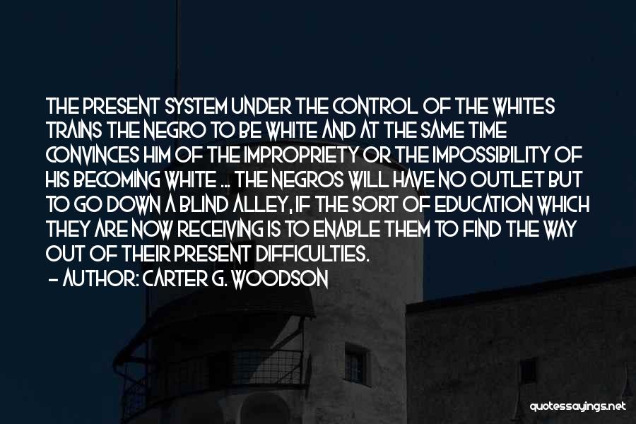 Blind Alley Quotes By Carter G. Woodson