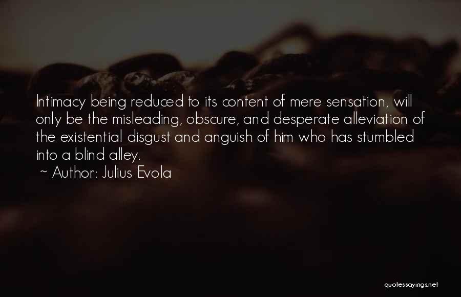 Blind Alley Quotes By Julius Evola