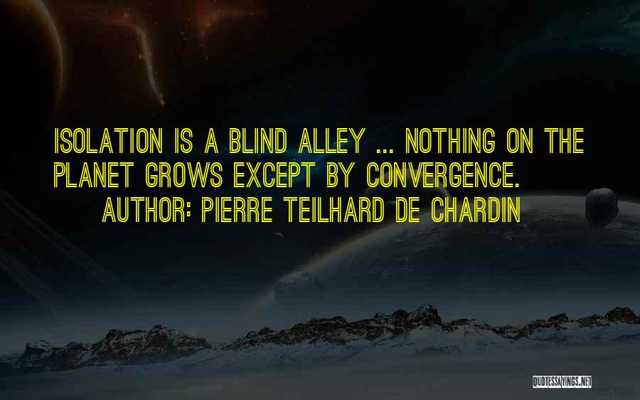 Blind Alley Quotes By Pierre Teilhard De Chardin