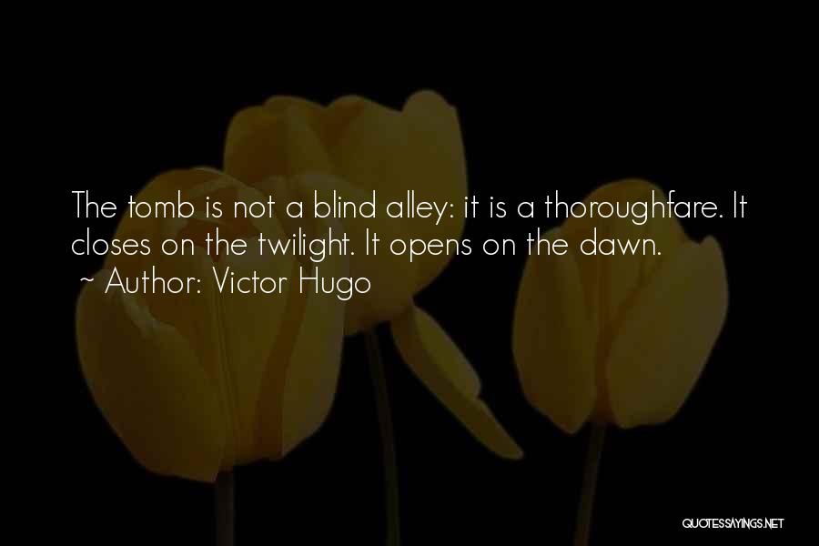 Blind Alley Quotes By Victor Hugo