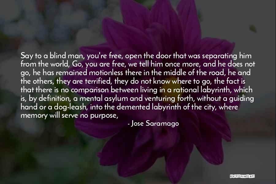 Blind Dog Quotes By Jose Saramago Blind Dog Quotes By Jose Saramago