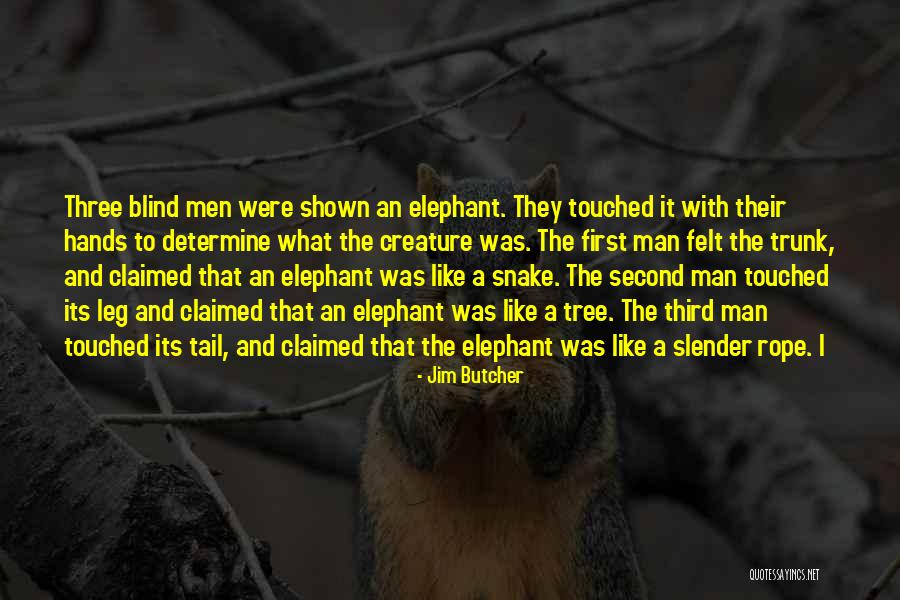 Blind Men And The Elephant Quotes By Jim Butcher Blind Men And The Elephant Quotes By Jim Butcher