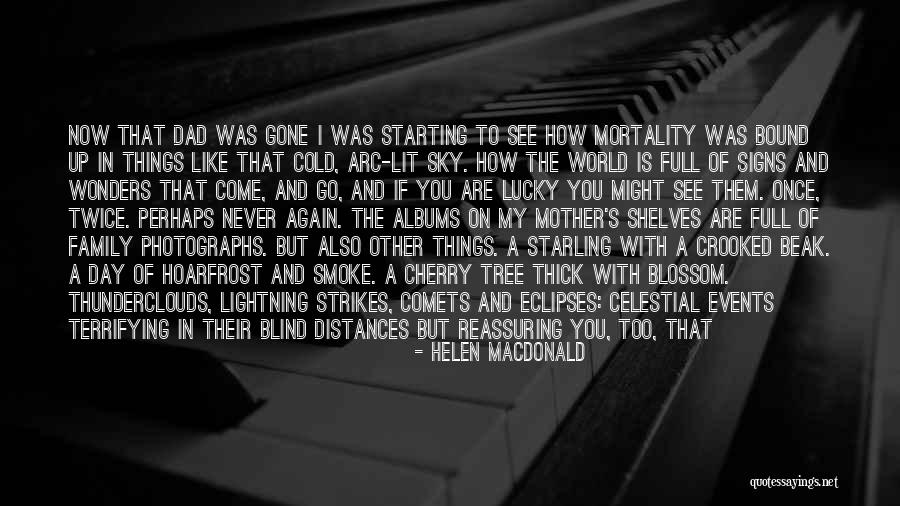 Blind Now I See Quotes By Helen Macdonald Blind Now I See Quotes By Helen Macdonald