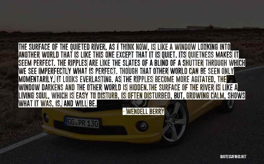 Blind Now I See Quotes By Wendell Berry Blind Now I See Quotes By Wendell Berry