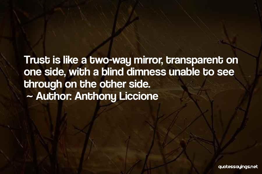 Blind To See Quotes By Anthony Liccione
