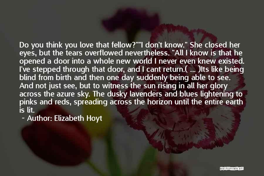 Blind To See Quotes By Elizabeth Hoyt
