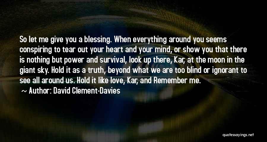 Blind To See The Truth Quotes By David Clement-Davies