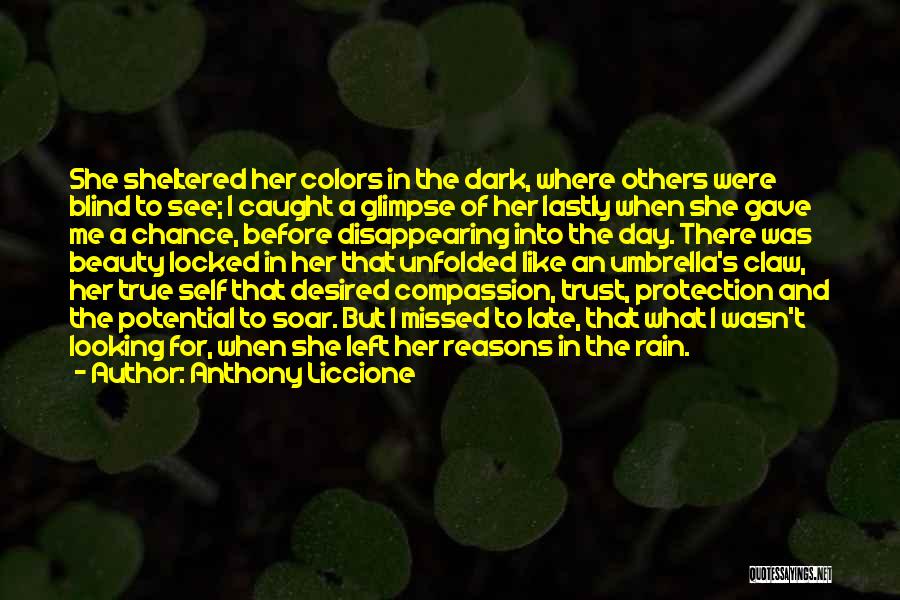 Blind Trust Quotes By Anthony Liccione