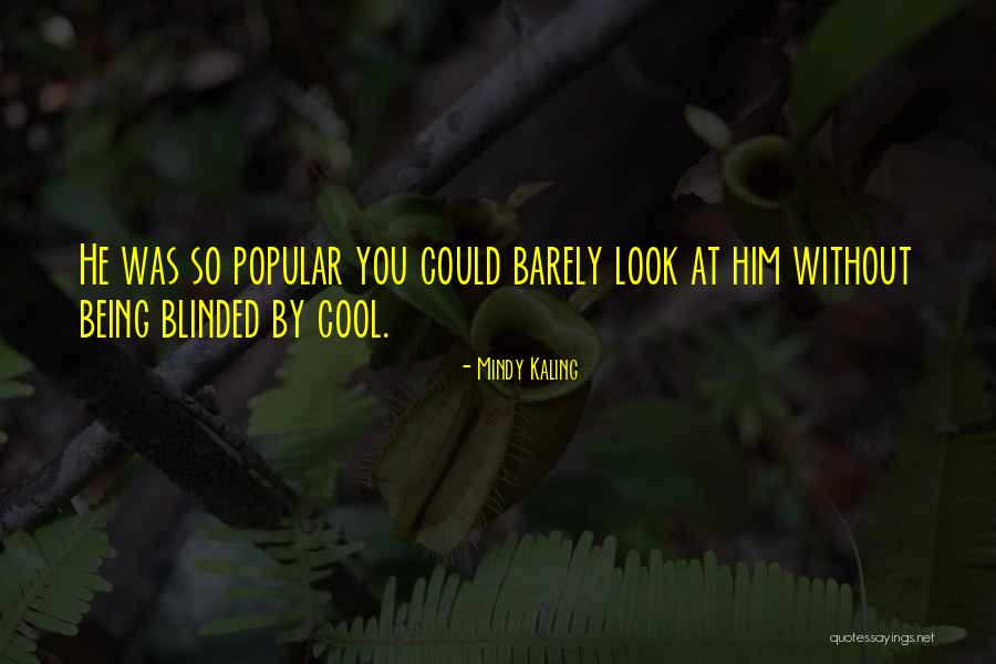 Blinded By Quotes By Mindy Kaling Blinded By Quotes By Mindy Kaling