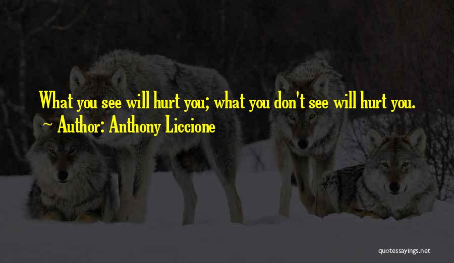 Blinded By The Lies Quotes By Anthony Liccione