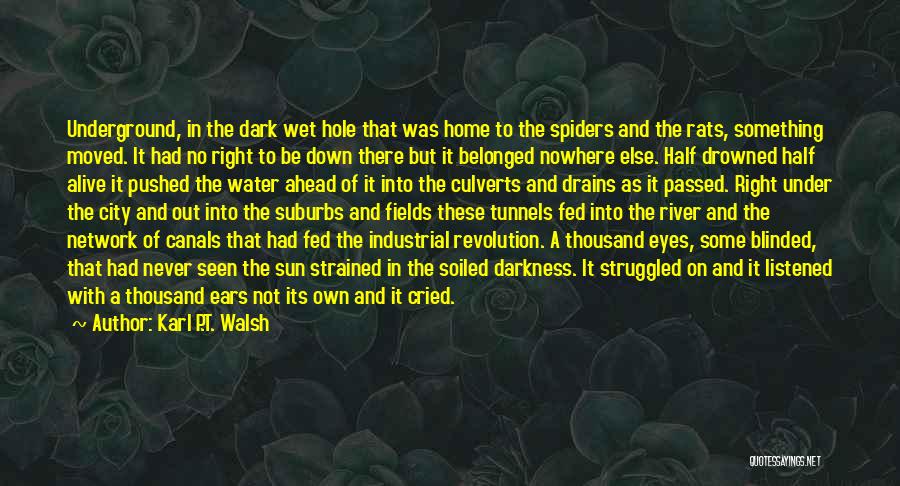Blinded By The Sun Quotes By Karl P.T. Walsh