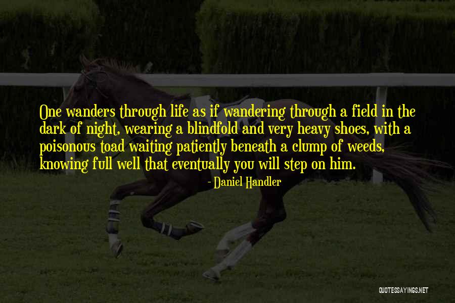 Blindfold Quotes By Daniel Handler Blindfold Quotes By Daniel Handler