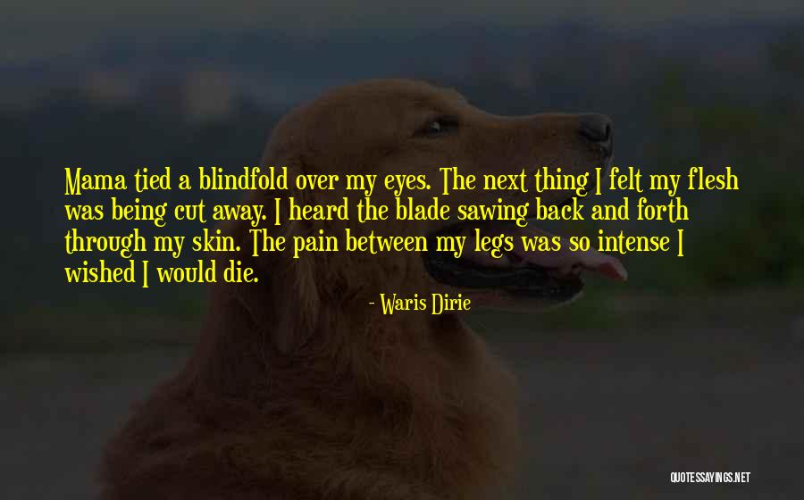 Blindfold Quotes By Waris Dirie Blindfold Quotes By Waris Dirie