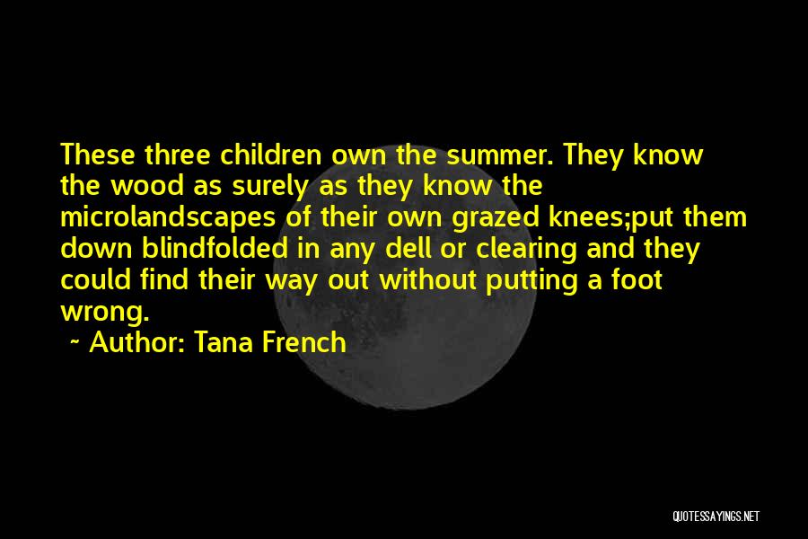 Blindfolded Quotes By Tana French