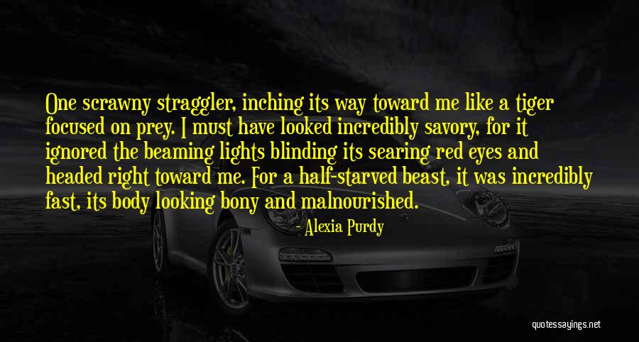 Blinding Lights Quotes By Alexia Purdy Blinding Lights Quotes By Alexia Purdy