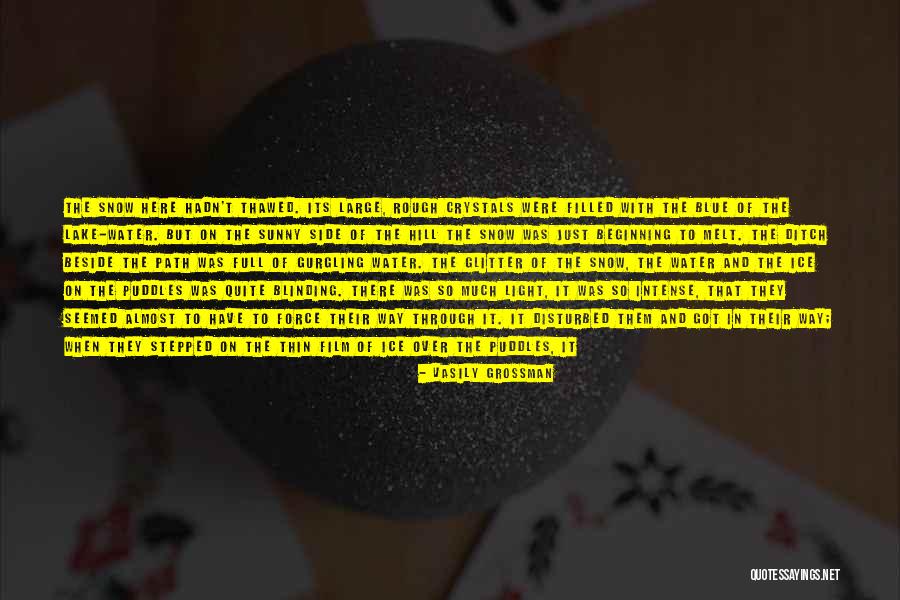 Blinding Sun Quotes By Vasily Grossman Blinding Sun Quotes By Vasily Grossman