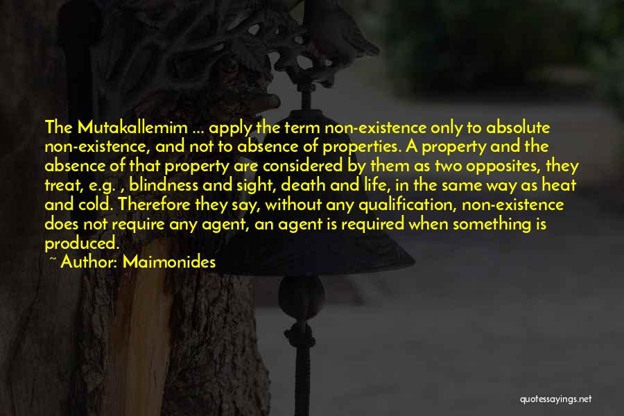 Blindness In Life Quotes By Maimonides