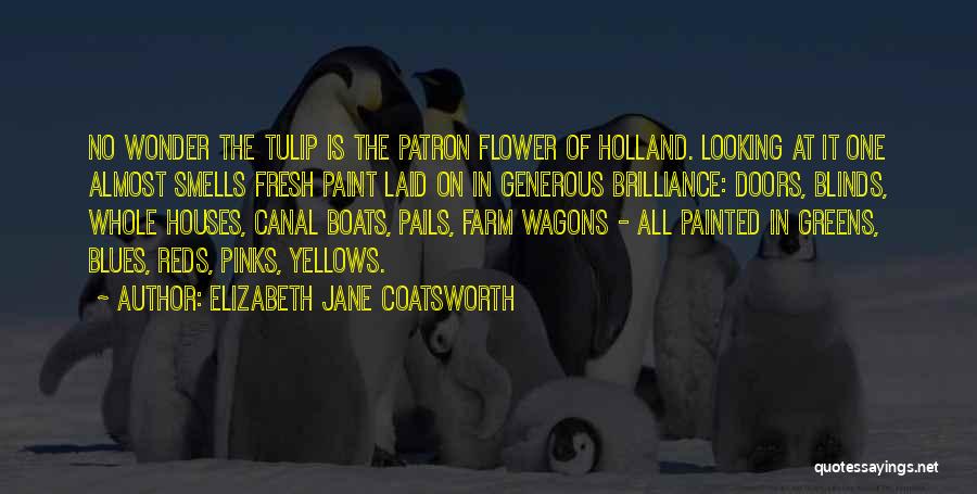 Blinds Quotes By Elizabeth Jane Coatsworth