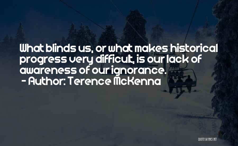 Blinds Quotes By Terence McKenna