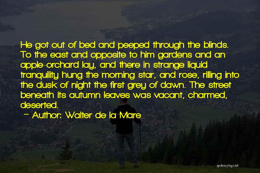 Blinds Quotes By Walter De La Mare
