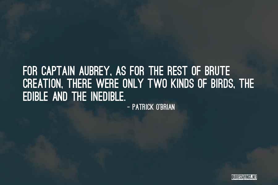 Blinged Up Quotes By Patrick O'Brian
